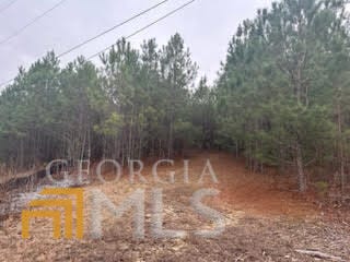 0 Liberty Dr, Chickamauga GA, 30707 land for sale