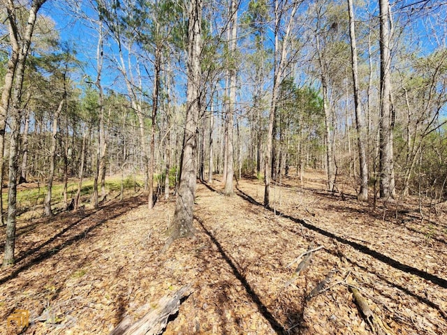 Listing photo 3 for 13 Deer Ridge Dr Lot8 11, 12 Unit 8, 11, 12, 13, Hamilton GA 31811