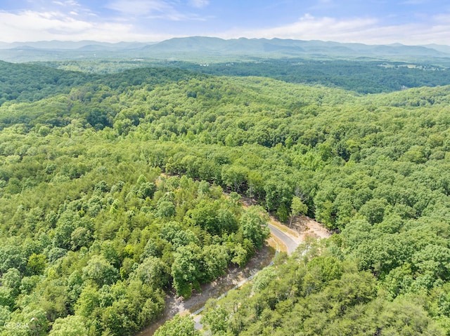 50 Chimney Rdg, Cleveland GA, 30528 land for sale