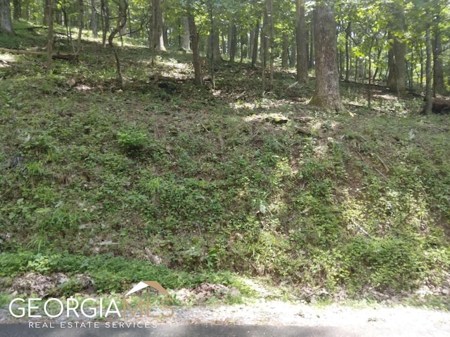 M213 Walnut Rdg Unit M213, Ellijay, GA 30540