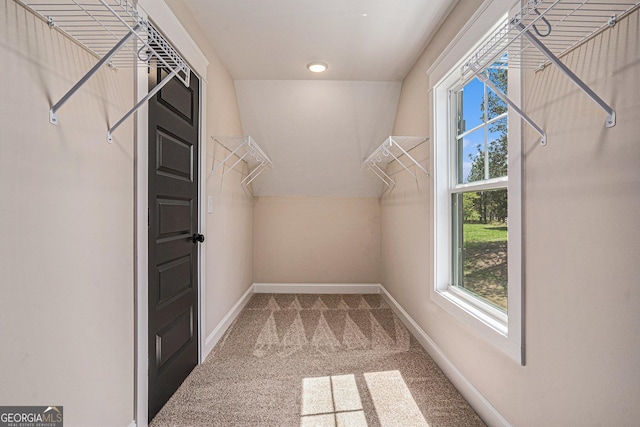101 Bonnie Lynn Ln, Carrollton, GA 30117 - walk in closet with carpet
