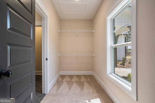 101 Bonnie Lynn Ln, Carrollton, GA 30117 - spacious closet featuring carpet flooring