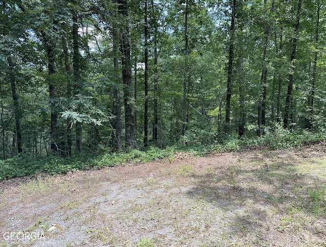 Listing photo 3 for LT1719 Rebekah Ridge Rd, Talking Rock GA 30175