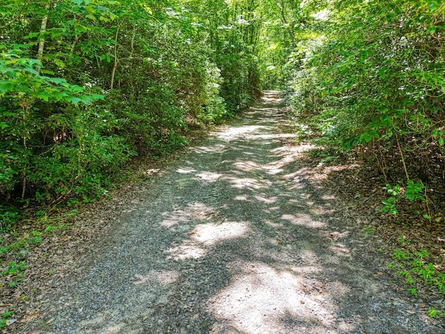 Listing photo 2 for 0 Sawyer Cove Rd, Hayesville NC 28904