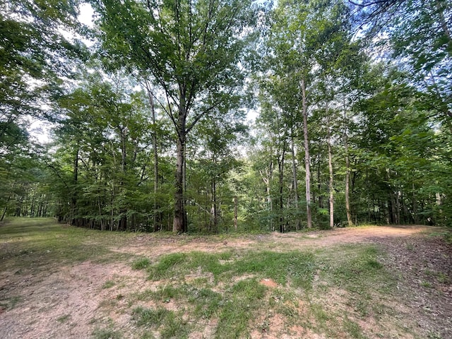 253 Oxford Cir NE, Ranger GA, 30734 land for sale