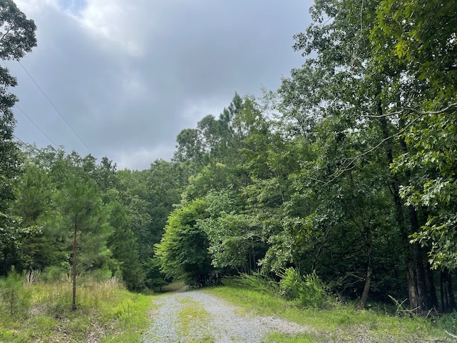 880 Echo Dr NE, Ranger GA, 30734 land for sale