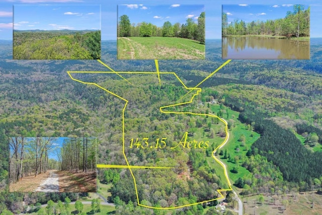 602 Gibson Rd, Clarkesville GA, 30523 land for sale