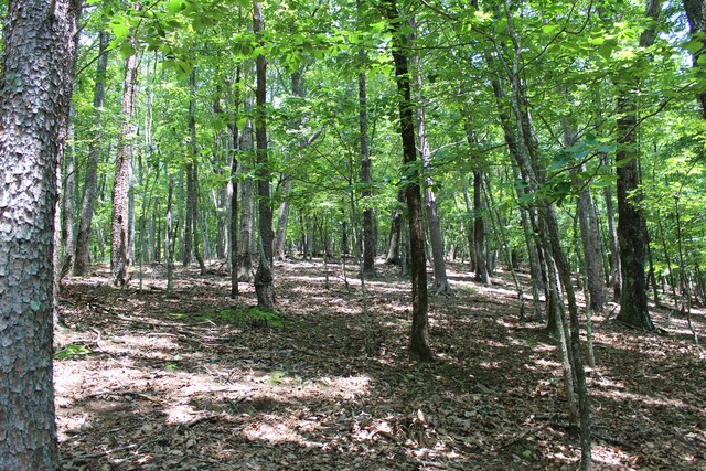 0 Denny Ridge Rd Unit 4568, Jasper, GA 30143