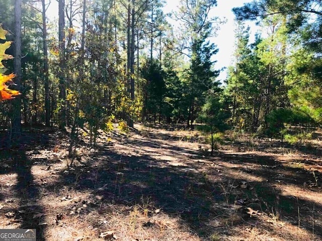 Listing photo 2 for 245 Dog Track Rd, Mauk GA 31058