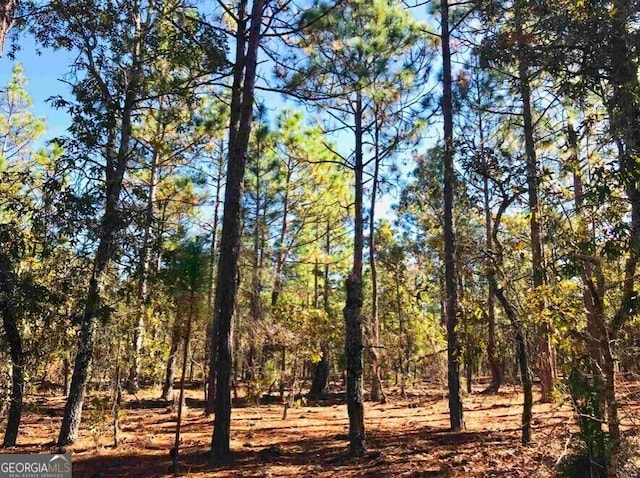 Listing photo 3 for 245 Dog Track Rd, Mauk GA 31058