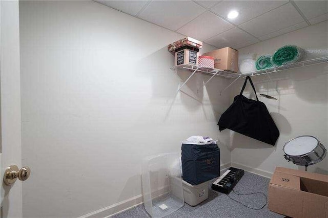 spacious closet featuring a paneled ceiling and carpet