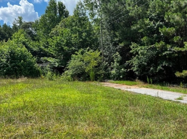 view of local wilderness