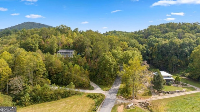 0 Laurel Springs Rd, Mineral Bluff GA, 30559 land for sale