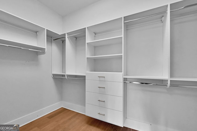 walk in closet with wood-type flooring