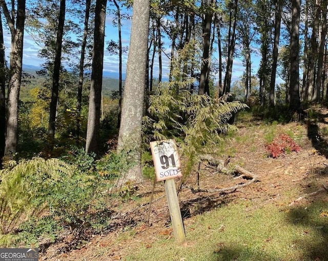 LT91 Highland Park, Blairsville GA, 30512 land for sale