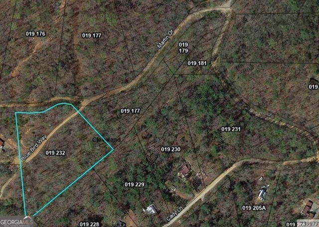 0 Martin Dr, Cleveland GA, 30528 land for sale