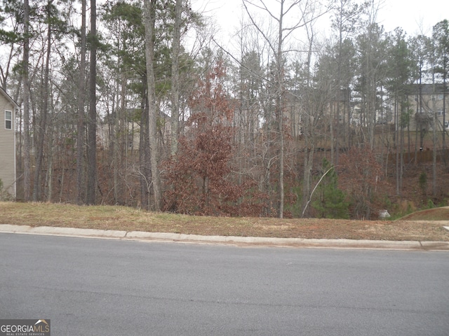 Listing photo 2 for 204 Millstream Rdg, Villa Rica GA 30180