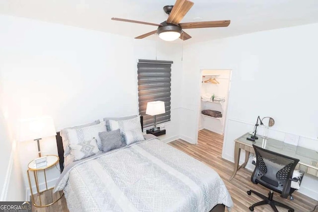 bedroom with light hardwood / wood-style floors, ceiling fan, and a walk in closet