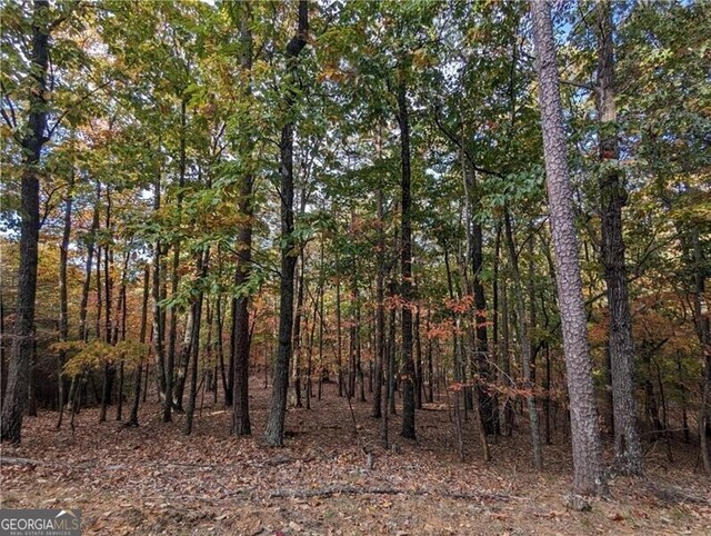 0 Oglethorpe Mountain Rd, Jasper, GA 30143