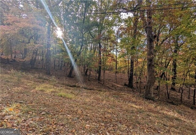 0 Oglethorpe Mountain Rd, Jasper, GA 30143