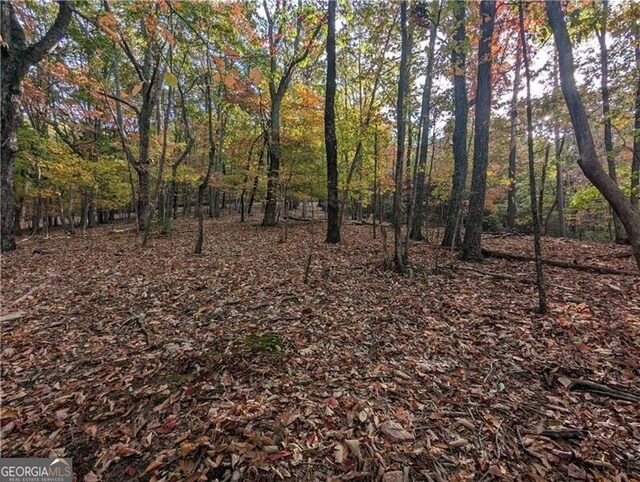 0 Oglethorpe Mountain Rd, Jasper, GA 30143