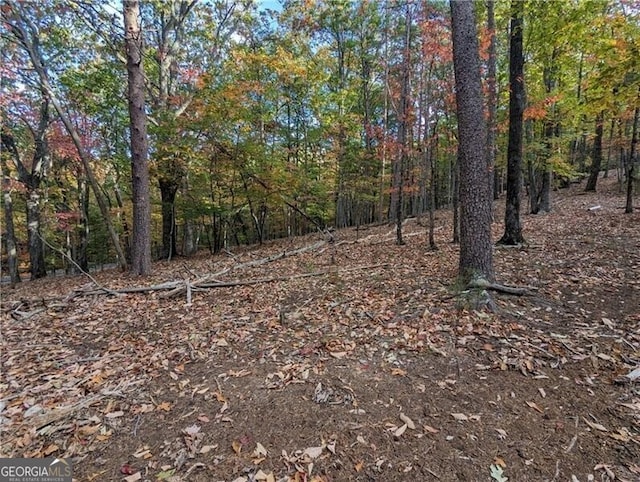 0 Oglethorpe Mountain Rd, Jasper, GA 30143