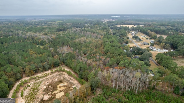 view of bird's eye view