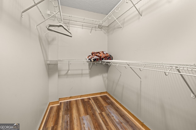 spacious closet featuring wood-type flooring