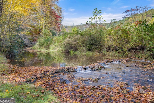 view of local wilderness featuring a water view