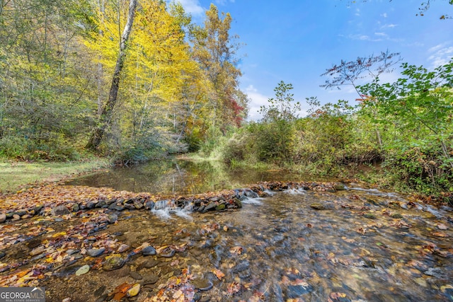 view of local wilderness with a water view