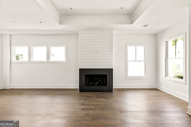 unfurnished living room with dark wood-type flooring, a tray ceiling, and a fireplace