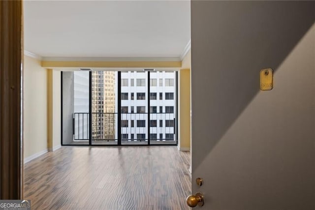 empty room featuring hardwood / wood-style flooring and crown molding