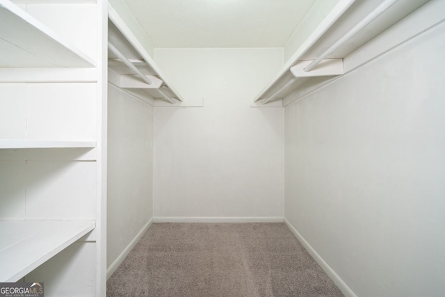 spacious closet featuring carpet