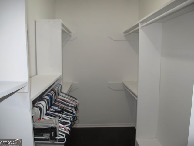 view of walk in closet