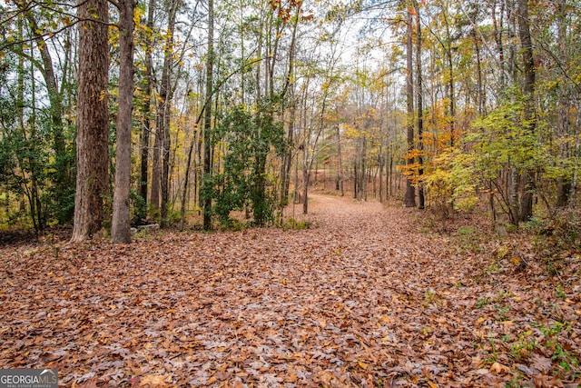 view of local wilderness