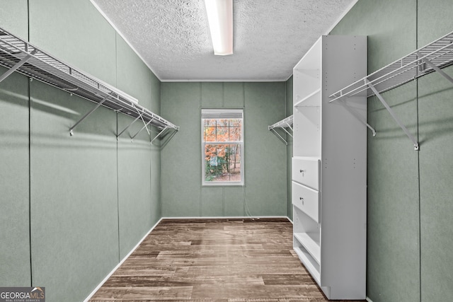 walk in closet featuring hardwood / wood-style flooring