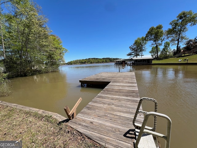 dock area with a water view