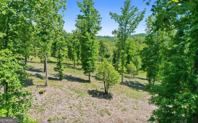 Listing photo 3 for LOT27, 28 B Haven Way, Blue Ridge GA 30513