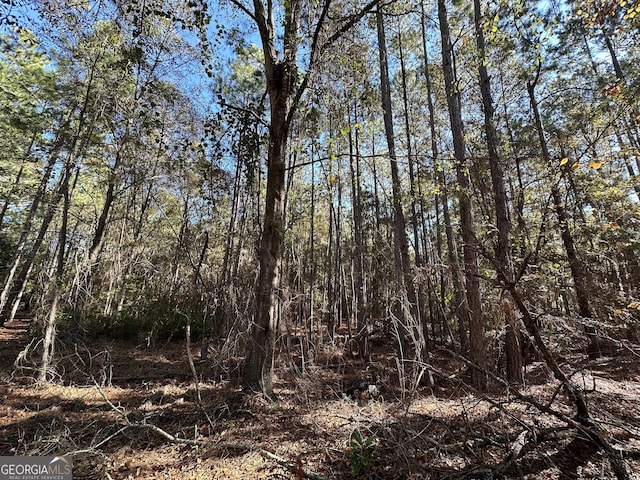 LOT21 Cochran Hwy, Eastman GA, 31023 land for sale