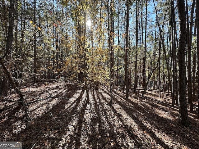 Listing photo 2 for LOT21 Cochran Hwy, Eastman GA 31023