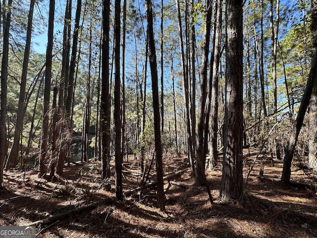 Listing photo 3 for LOT21 Cochran Hwy, Eastman GA 31023