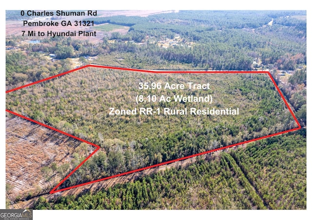 0 Charles Shuman Rd, Pembroke GA, 31321 land for sale