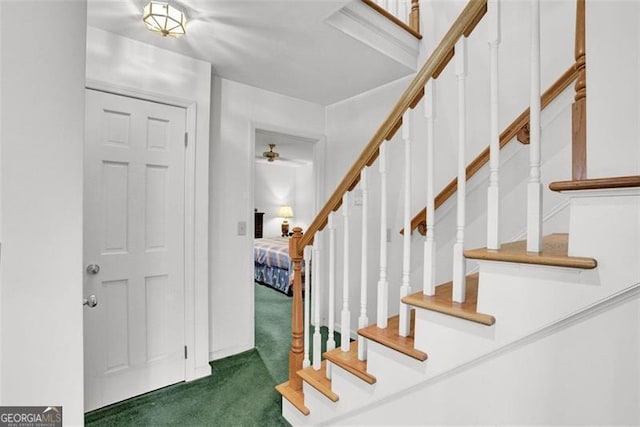 view of carpeted foyer