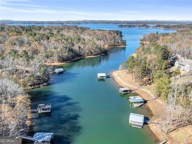 bird's eye view featuring a water view