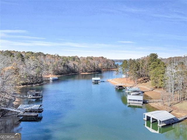 view of water feature featuring a dock