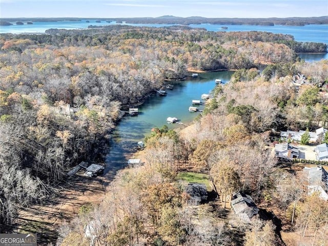 drone / aerial view with a water view