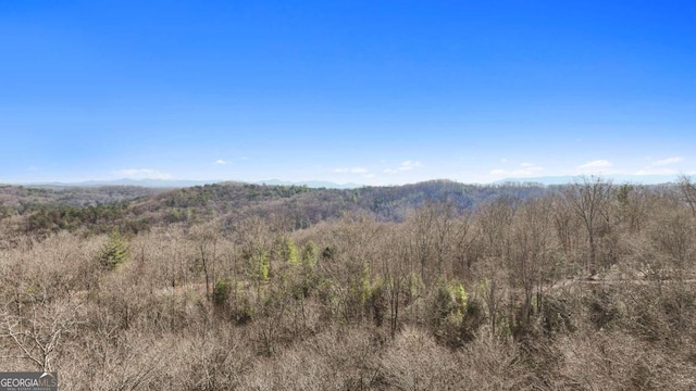 LT31 Haven Way, Blue Ridge GA, 30513 land for sale