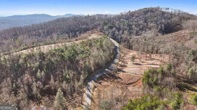 Listing photo 3 for LT31 Haven Way, Blue Ridge GA 30513