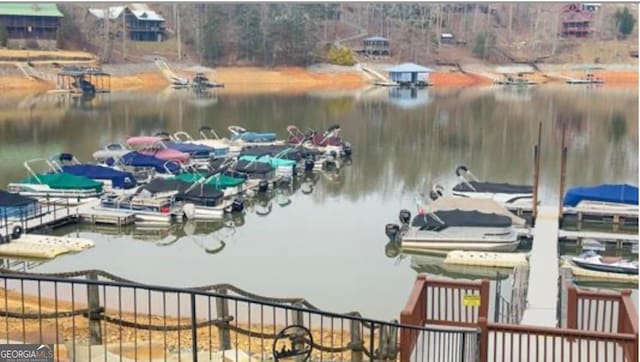 dock area with a water view