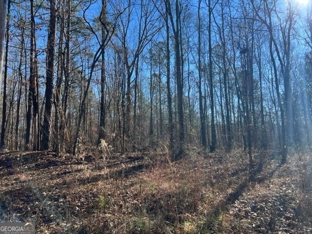 Listing photo 2 for 0 Creek Rd, Ashland AL 36251